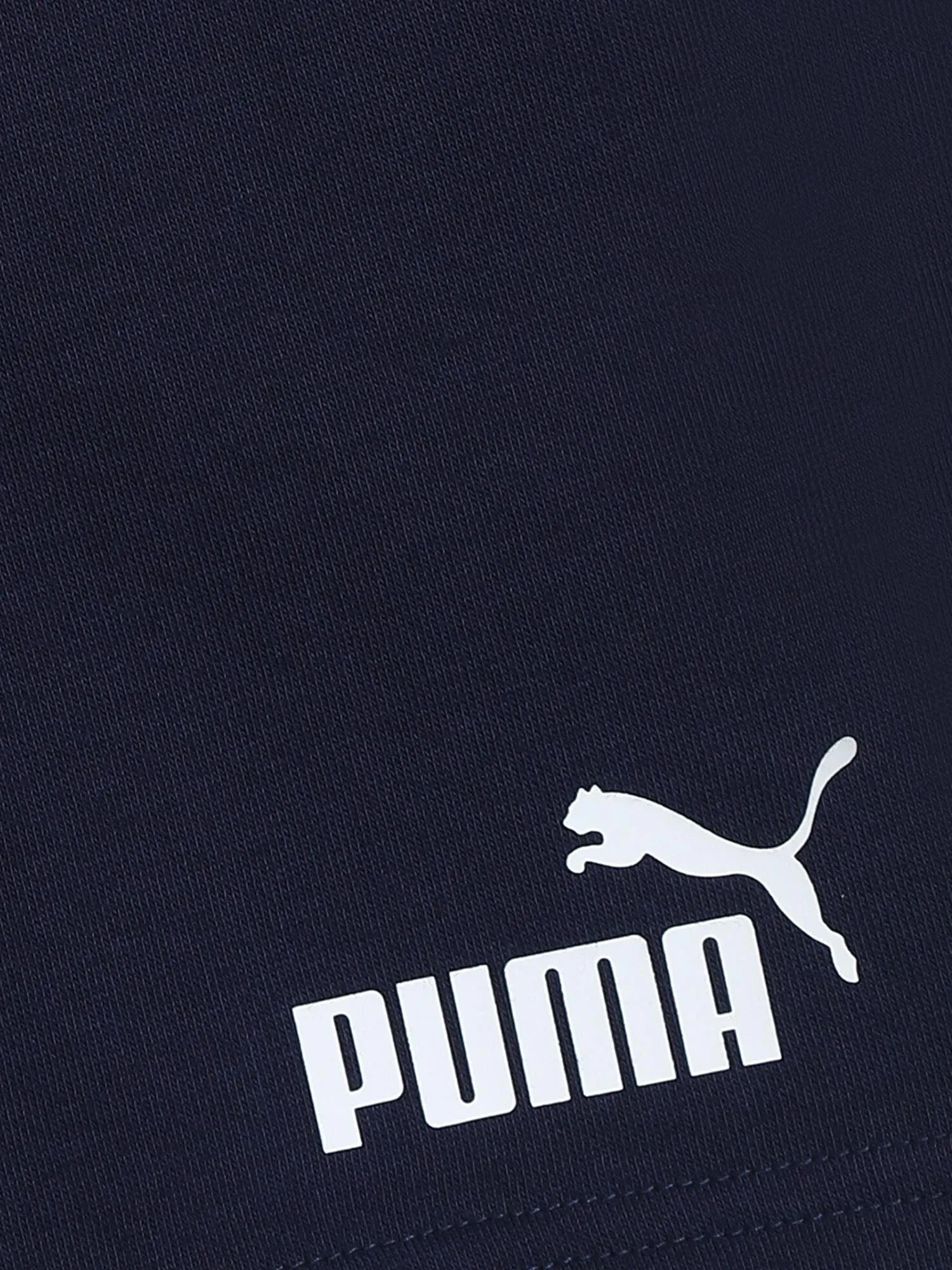 Puma Shorts 586972