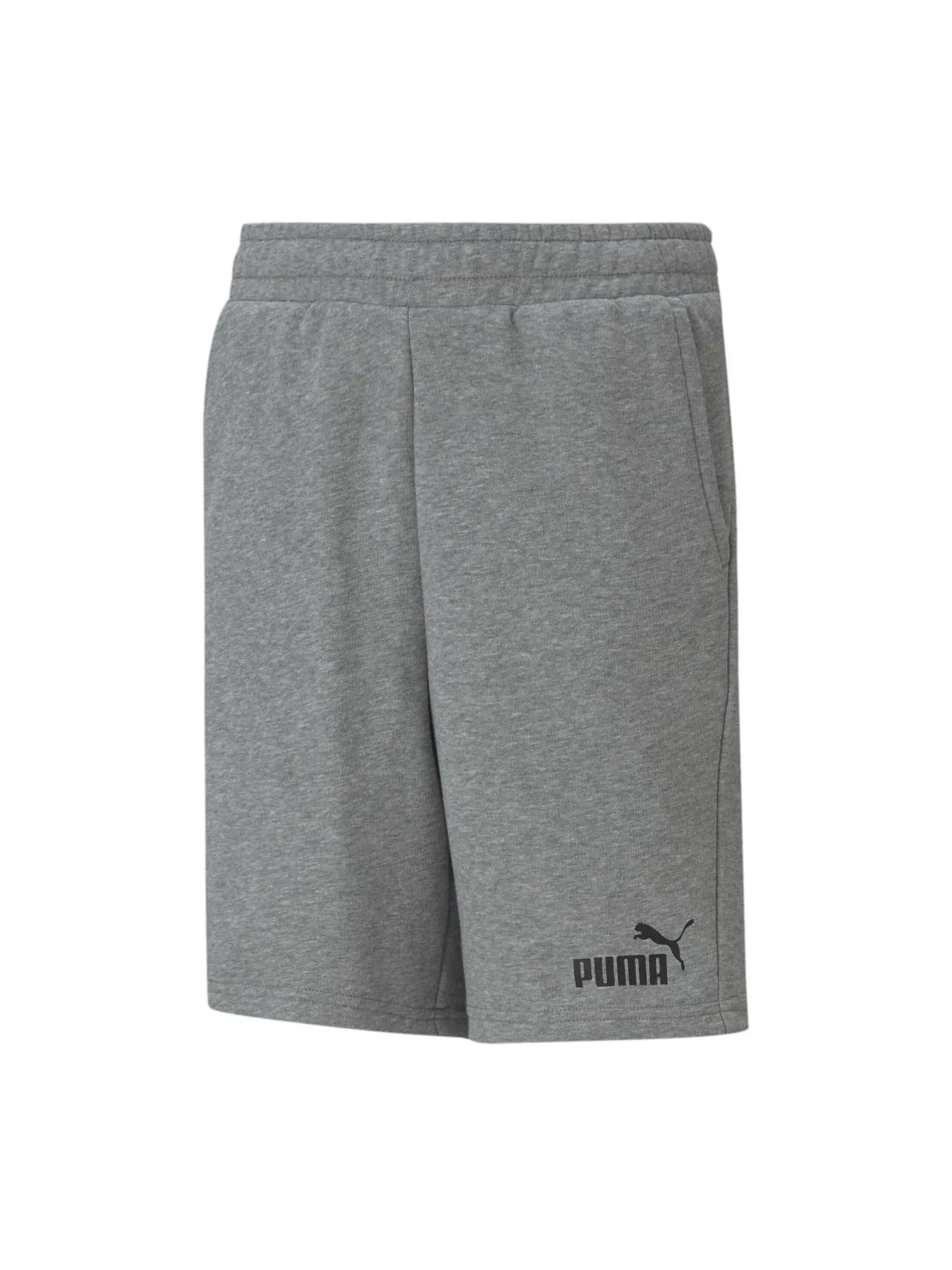 Puma Shorts 586972